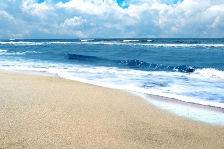 海邊 護照移民